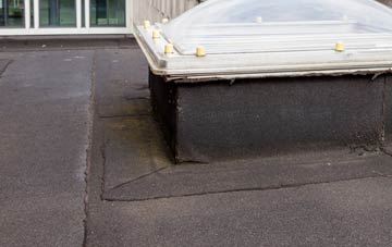 disadvantages of Barland Common flat roofs